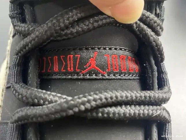 Rep 11 JORDAN INSTINCT AIR ANIMAL AR0715-010 0528